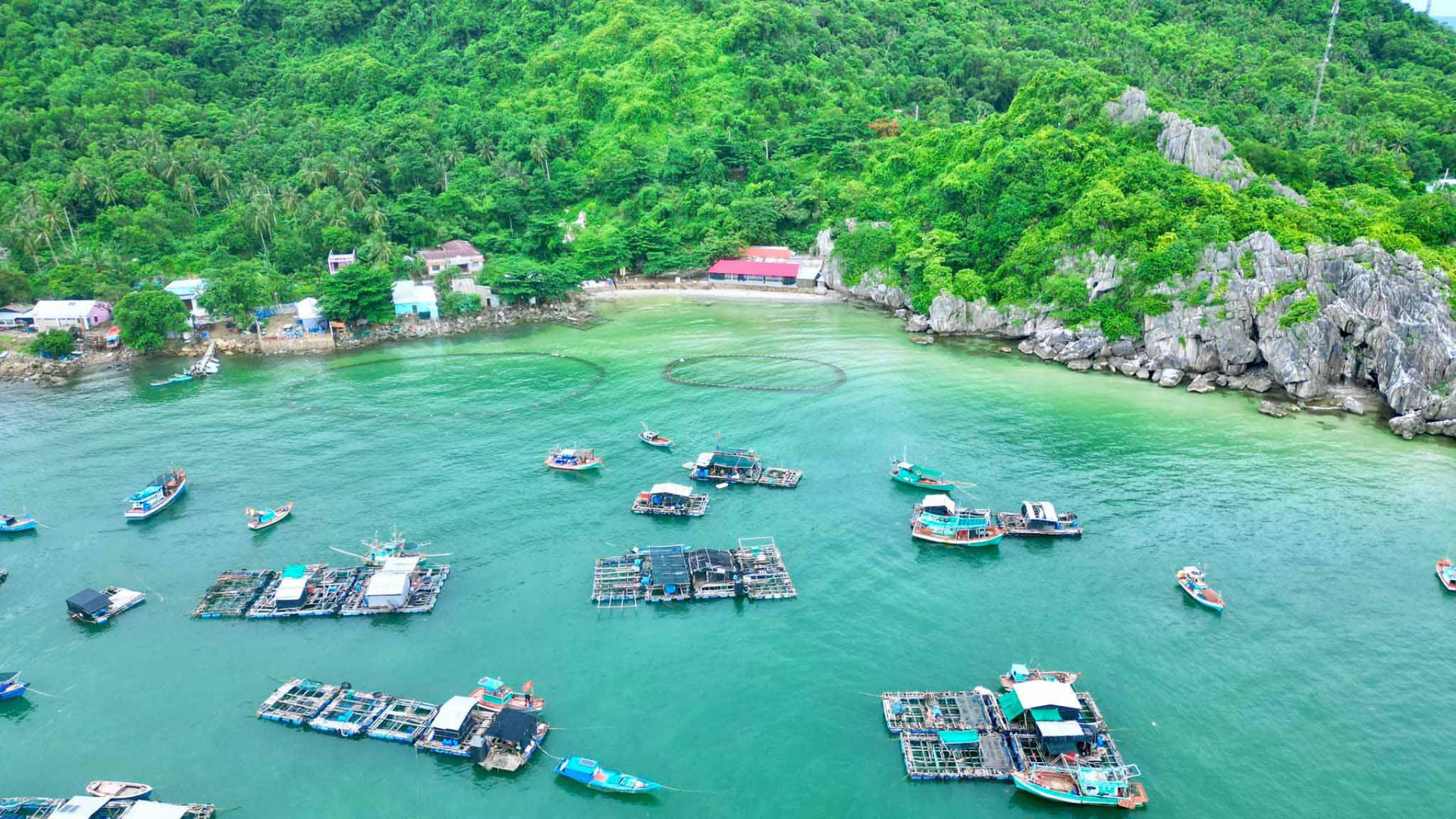 Vịnh biển xanh với thuyền và bè nuôi thủy sản dưới chân núi cây xanh ở Hòn Nghệ